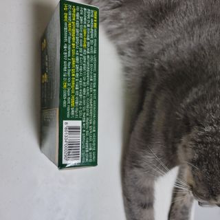 이째님이 올린 리뷰 사진 3