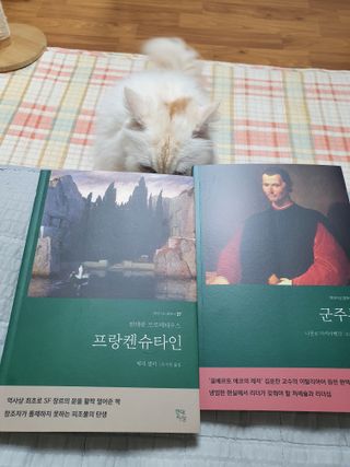 켈리심님이 올린 리뷰 사진 1