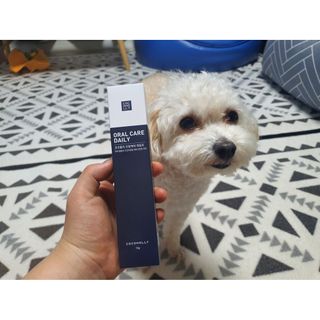 코코몰리 오랄케어 데일리 맛있게 건강한 반려동물 안심치약 — 5점을 준 리뷰어가 2021년 3월 올린 사용 사진