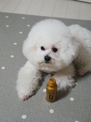 hyun♡님이 올린 리뷰 사진 1