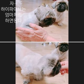 러블리혜교님이 올린 리뷰 사진 2