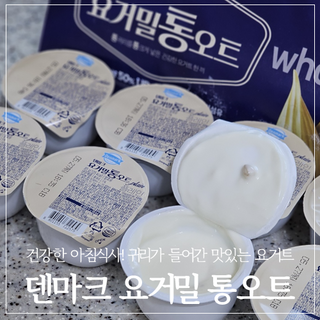 모하지님이 올린 리뷰 사진 1