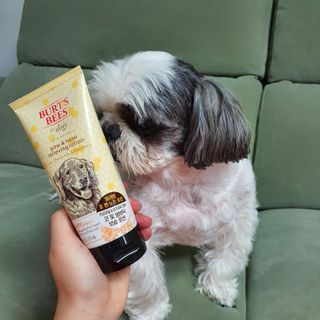꽃단이님이 올린 리뷰 사진 1