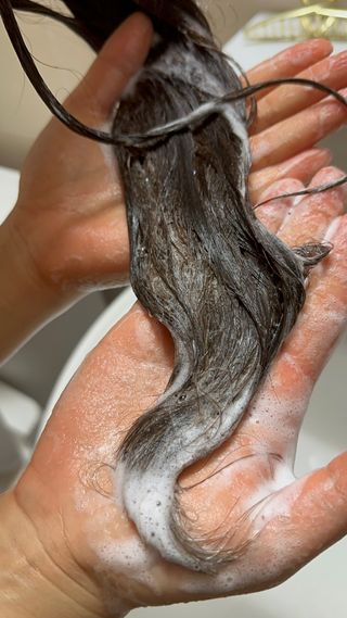 르핸스 퍼포밍 5 샴푸 비반트 포렛/베티버 포그 — 5점을 준 리뷰어가 2023년 2월 올린 사용 사진