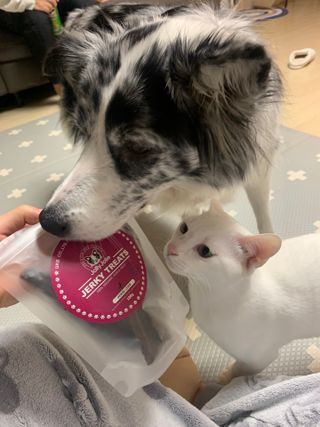 오니오니님이 올린 리뷰 사진 1