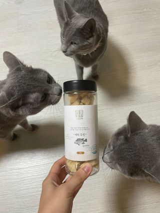 여온님이 올린 리뷰 사진 1