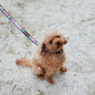 꽃양뿌니님이 올린 리뷰 사진 1