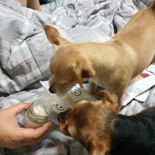 세지니힛님이 올린 리뷰 사진 1