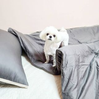 앙슈님이 올린 리뷰 사진 1