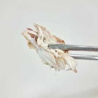 ㈜금호통상 노르웨이 고등어 900g (6~10편) — 5점을 준 리뷰어가 2023년 6월 올린 사용 사진