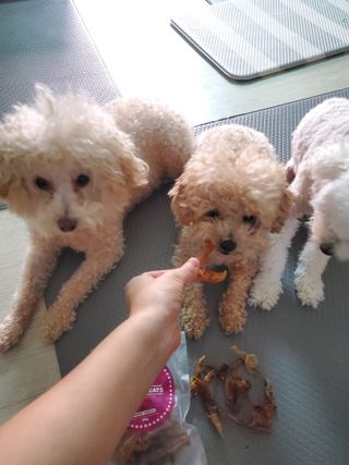 모모맘님이 올린 리뷰 사진 2