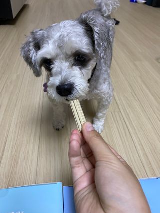 GaHyunKim님이 올린 리뷰 사진 3