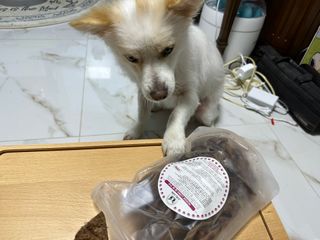 멍뭉님이 올린 리뷰 사진 3
