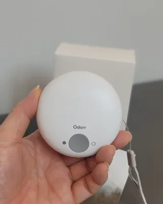 제주녀님이 올린 리뷰 사진 2