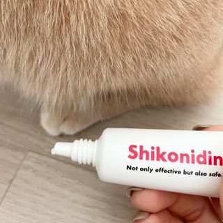 [자유펫] 시코니딘 고양이 강아지 피부 보습 연고 20g — 4.5점을 준 리뷰어가 2021년 11월 올린 사용 사진