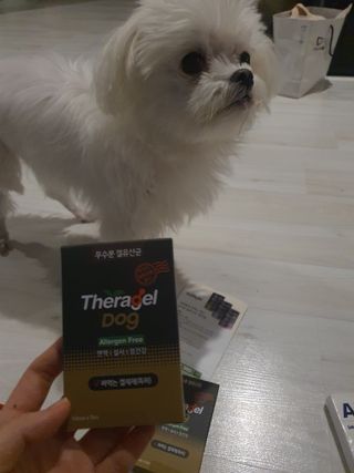 쮸동비님이 올린 리뷰 사진 2