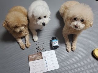모모맘님이 올린 리뷰 사진 1
