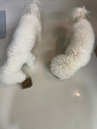 지예지예❤️님이 올린 리뷰 사진 4