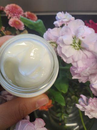 록타비아 Artisan Complete Face Cream — 4.5점을 준 리뷰어가 2023년 11월 올린 사용 사진