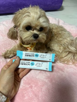 조아해1128님이 올린 리뷰 사진 2