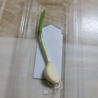 먹찌님이 올린 리뷰 사진 3