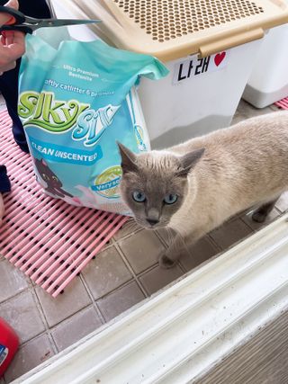 벼리님이 올린 리뷰 사진 1