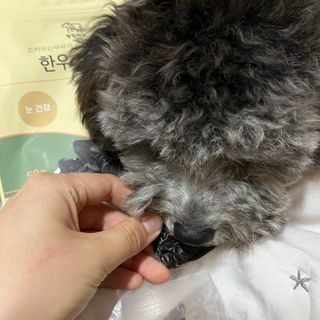 딸기호떡님이 올린 리뷰 사진 1