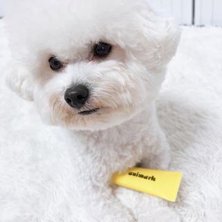 윰쏘님이 올린 리뷰 사진 2