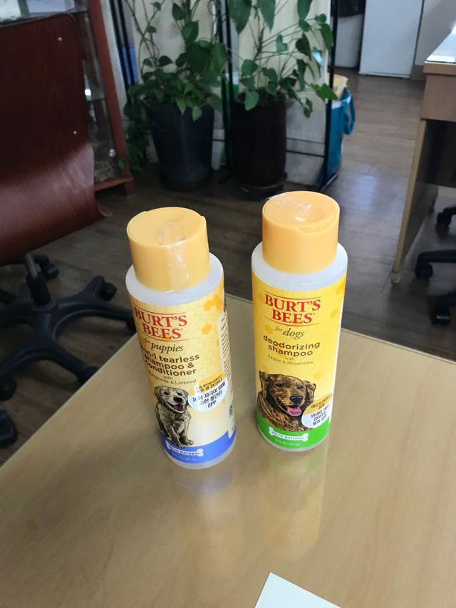 버츠비 데오도라이징 샴푸 리뷰 사진