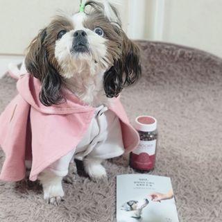 펫21 그로그로 5종 강아지 고양이 반려동물 한방 영양제 — 3.5점을 준 리뷰어가 2021년 12월 올린 사용 사진
