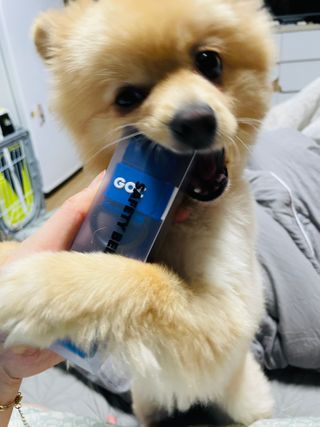 으콩님이 올린 리뷰 사진 3