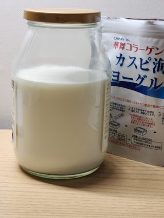 하나마이 [BEST 판매율 1위] 카스피해 유산균 종균_발효기가 필요없이 간편하게 만들어 먹는 요거트 생유산균 — 3점을 준 리뷰어가 2023년 3월 올린 사용 사진