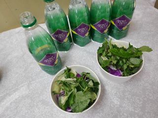몽베스트 Montbest with Sparkling water Lemon OR Lime 20병(랜덤) — 5점을 준 리뷰어가 2023년 1월 올린 사용 사진