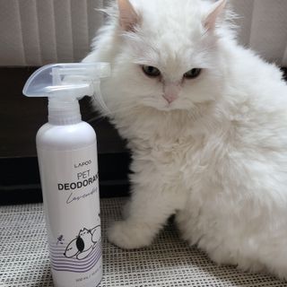 Woo7C님이 올린 리뷰 사진 4