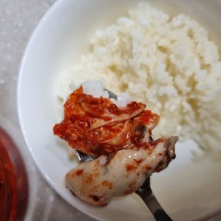 셰프애찬 별미김치 굴겉절이 1kg — 5점을 준 리뷰어가 2022년 12월 올린 사용 사진