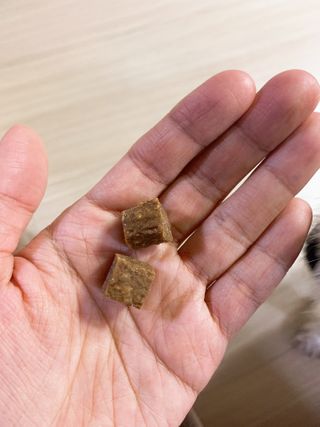 My Pet Care 천연단백질 관절건강에 개좋아 — 5점을 준 리뷰어가 2021년 1월 올린 사용 사진