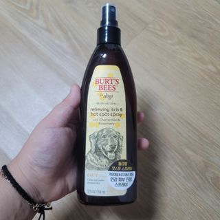 DK님이 올린 리뷰 사진 1