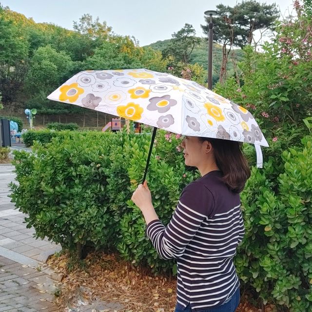 [소옥&시에라리] 접이식 양우산 6종 (시에라리 2종/소옥4종) 리뷰 사진
