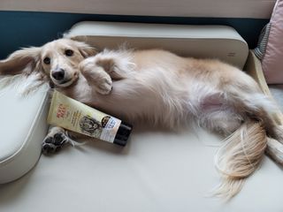 5_daks님이 올린 리뷰 사진 1