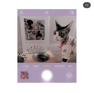 432님이 올린 리뷰 사진 3