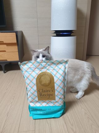 로크찡님이 올린 리뷰 사진 2