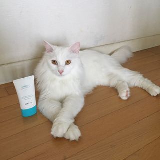 시몽님이 올린 리뷰 사진 4