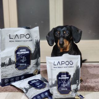 [푸디웜] 라포그 리얼인섹트 소프트키블 스킨 1KG — 4.5점을 준 리뷰어가 2022년 9월 올린 사용 사진