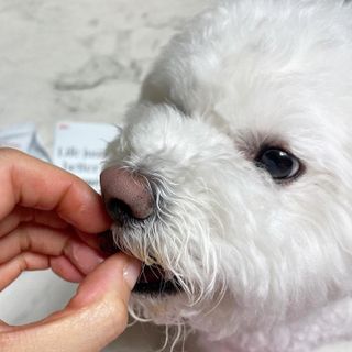 두또먹님이 올린 리뷰 사진 4