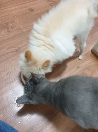 알몽님이 올린 리뷰 사진 4