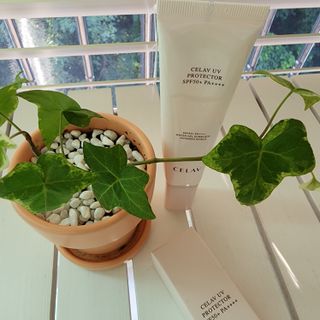 프리마인 선크림만 바꿨을 뿐인데 매일 물 2L챙겨먹고 기초케어 완벽하게 한 물빛피부 완성,셀라브UV프로텍터 — 5점을 준 리뷰어가 2023년 8월 올린 사용 사진