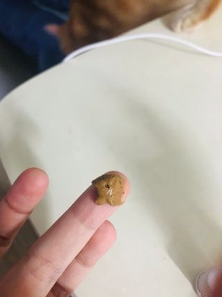 이아님이 올린 리뷰 사진 3