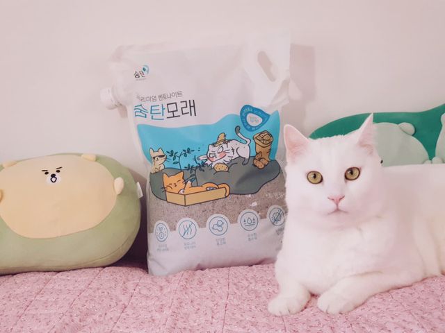 숨탄모래 리뷰 사진