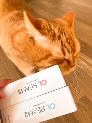 클림 9월 28일, 출시 손 세정의 번거로움을 없앤 핸드크림 — 5점을 준 리뷰어가 2020년 12월 올린 사용 사진