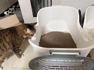 김나비님이 올린 리뷰 사진 2